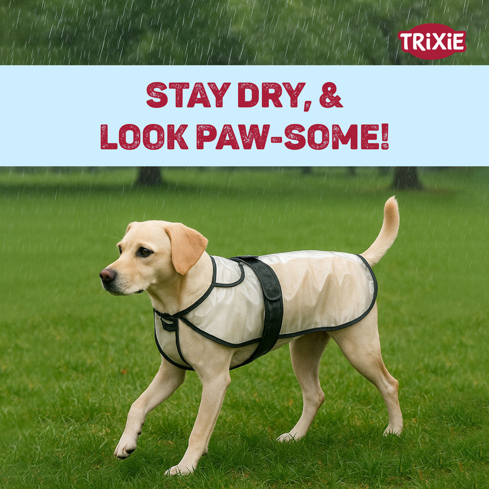 Trixie Tarbes Transparent Dog Raincoat